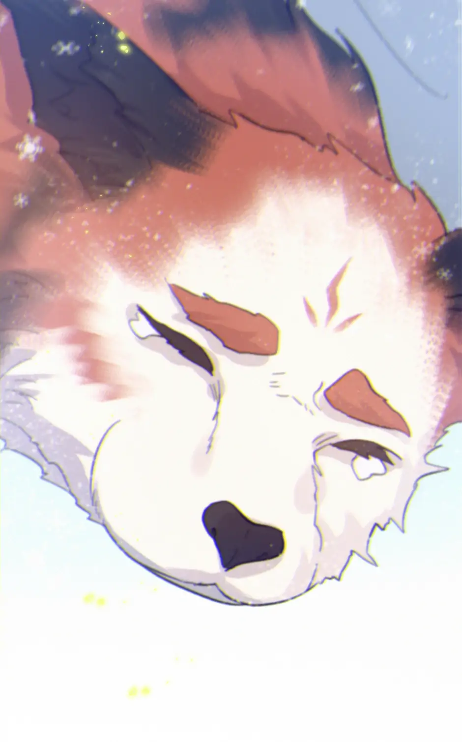 74588206 940 1509 33644