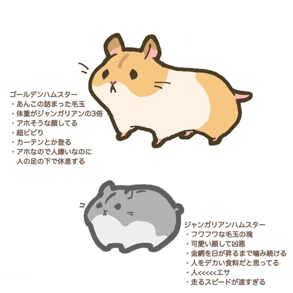 Hamster Yang menyenangkan